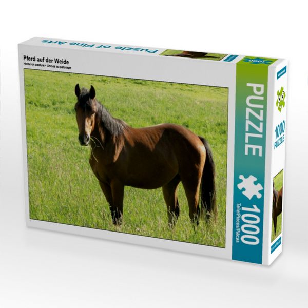 CALVENDO Puzzle Pferd auf der Weide | 1000 Teile Lege-Größe 64 × 48 cm Foto-Puzzle für glückliche Stunden