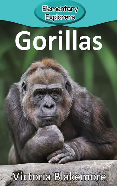 Produktbild: Gorillas