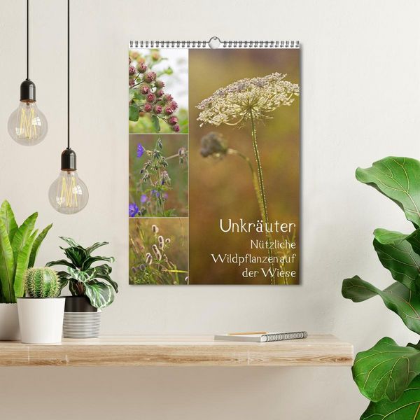 Produktbild: Unkr&auml;uter - N&uuml;tzliche Wildpflanzen auf der Wiese (Wandkalender 2026 DIN A3 hoch), CALVENDO Monatskalender