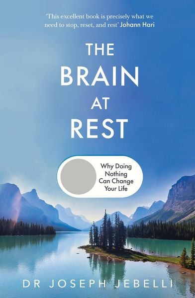 Produktbild: The Brain at Rest