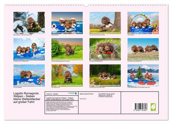 Produktbild: Lagotto Romagnolo Welpen - Sieben kleine Weltentdecker auf gro&szlig;er Fahrt (hochwertiger Premium Wandkalender 2026 DIN A2 quer), Kunstdruck in Hochglanz
