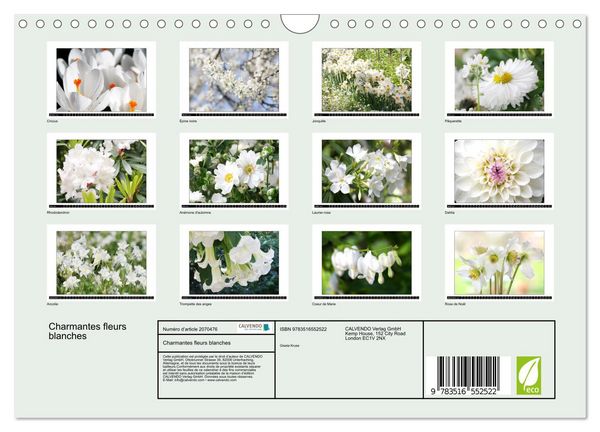 Produktbild: Charmantes fleurs blanches (Calendrier mural 2026 DIN A4 vertical), CALVENDO calendrier mensuel