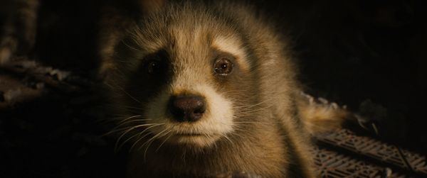 Produktbild: Guardians of the Galaxy Vol. 3 (4K Ultra HD) (+ Blu-ray)