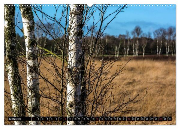 Produktbild: Worpswede - K&uuml;nstlerdorf unter weitem Himmel (hochwertiger Premium Wandkalender 2026 DIN A2 quer), Kunstdruck in Hochglanz