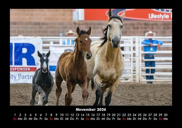 Produktbild: Pferdetraum 2026 Fotokalender DIN A3