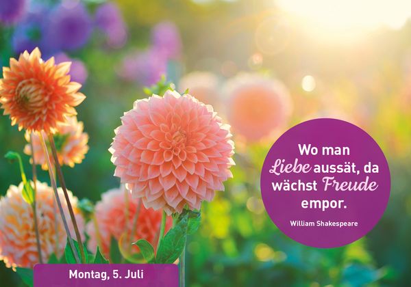 Produktbild: Meine W&uuml;nsche f&uuml;r Dich 2027