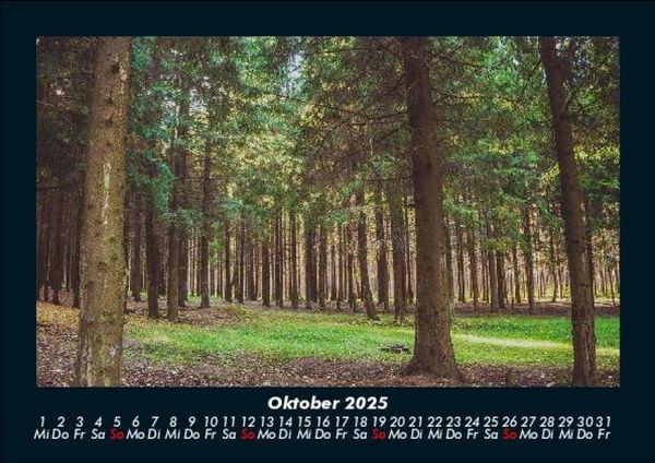 Produktbild: B&auml;ume 2025 Fotokalender DIN A5