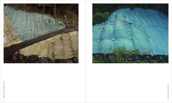 Produktbild: Toshio Shibata: Japan
