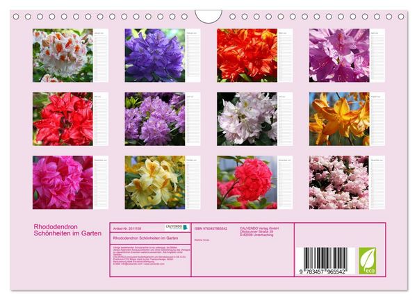 Produktbild: Rhododendron Sch&ouml;nheiten im Garten (Wandkalender 2026 DIN A4 quer), CALVENDO Monatskalender