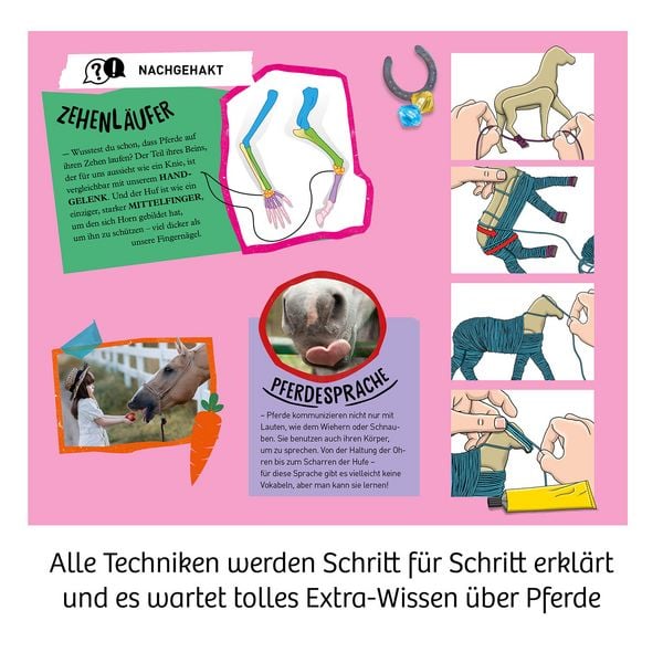 Produktbild: Traumpferd