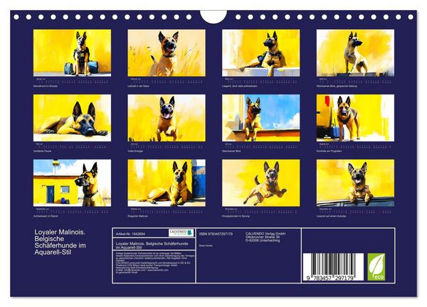 Produktbild: Loyaler Malinois. Belgische Sch&auml;ferhunde im Aquarell-Stil (Wandkalender 2026 DIN A4 quer), CALVENDO Monatskalender