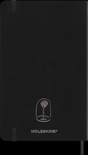 Produktbild: Moleskine der kleine Prinz Sammlerbox, liniertes Notizbuch L/A5 schwarz, undatierter 12-Monats-Notizkalender L/A5 fester Einband grau