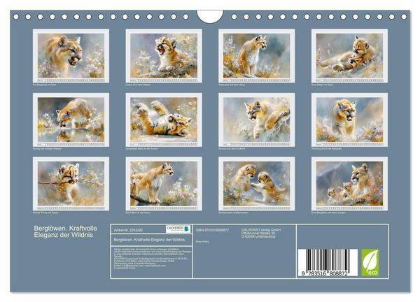 Produktbild: Bergl&ouml;wen. Kraftvolle Eleganz der Wildnis (Wandkalender 2027 DIN A4 quer), CALVENDO Monatskalender