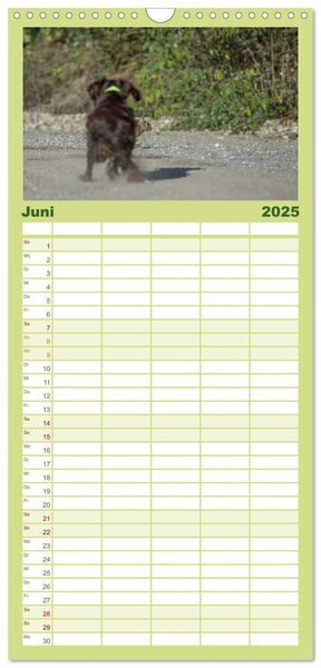 Familienplaner 2025 - Jagdhunde bei der Arbeit mit 5 Spalten (Wandkalender, 21 x 45 cm) CALVENDO