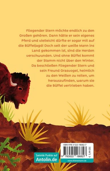Produktbild: Fliegender Stern