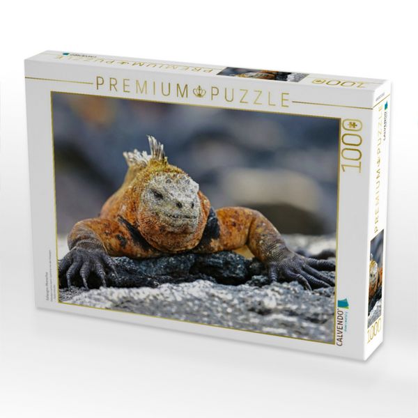 Produktbild: CALVENDO Puzzle Gal&aacute;pagos-Meerechse | 1000 Teile Lege-Gr&ouml;&szlig;e 64x48cm Foto-Puzzle f&uuml;r gl&uuml;ckliche Stunden