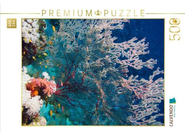 CALVENDO Puzzle Gorgonie | 500 Teile Lege-Größe 48 × 36 cm Foto-Puzzle für Erwachsene