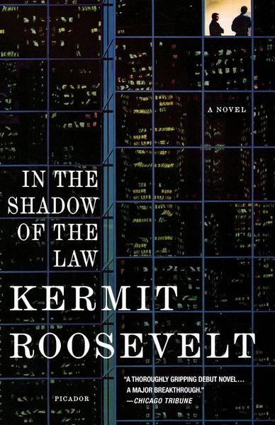Produktbild: In the Shadow of the Law