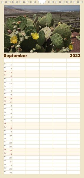 Produktbild: Familienplaner Faszination Kakteen (Wandkalender 2022 , 21 cm x 45 cm, hoch)