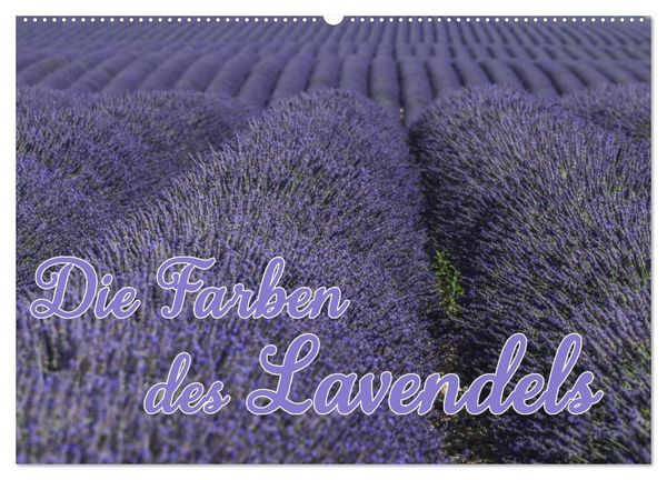 Produktbild: Die Farbe des Lavendels (Wandkalender 2026 DIN A2 quer), CALVENDO Monatskalender
