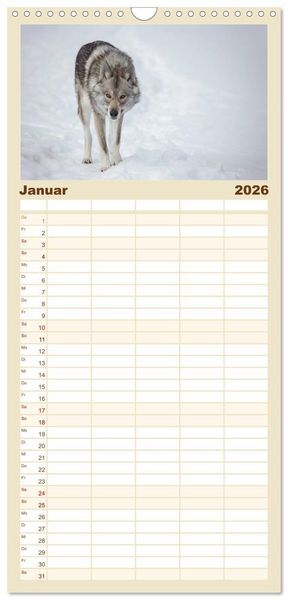 Produktbild: Familienplaner 2026 - Wolfshunde 2026 mit 5 Spalten (Wandkalender, 21 x 45 cm) CALVENDO