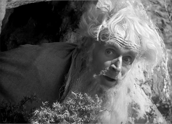 Produktbild: Die goldene Gans (1953) (Filmjuwelen / Schongerfilm-M&auml;rchen)