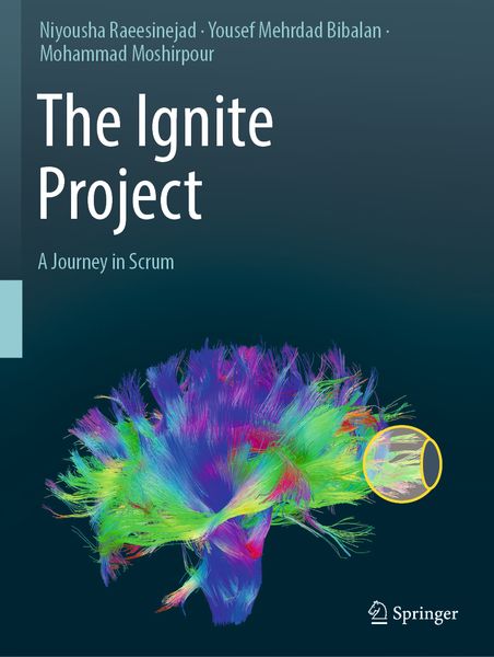Produktbild: The Ignite Project
