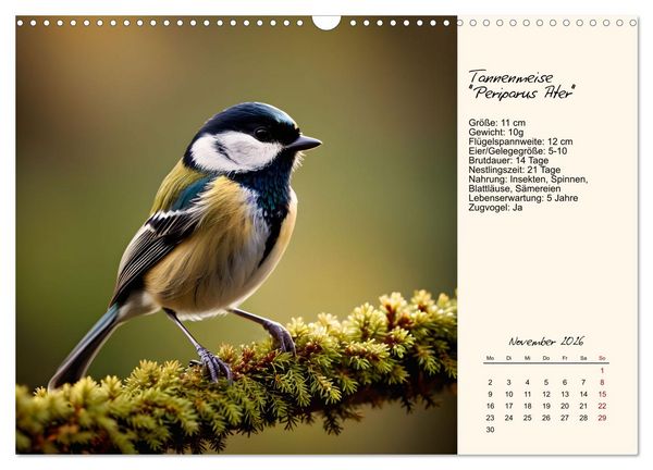 Produktbild: Meisen richtig erkennen (Wandkalender 2026 DIN A3 quer), CALVENDO Monatskalender
