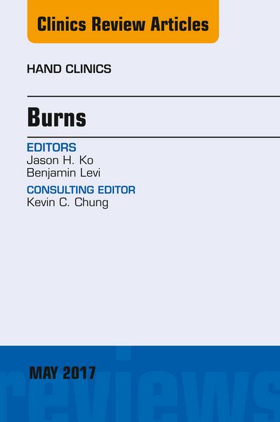 Produktbild: Burns, An Issue of Hand Clinics