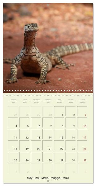 Produktbild: Les merveilles du monde les reptiles (Calendrier mural carr&eacute; 2026 30x30 cm) Calendrier double avec une page pour vos prises de notes