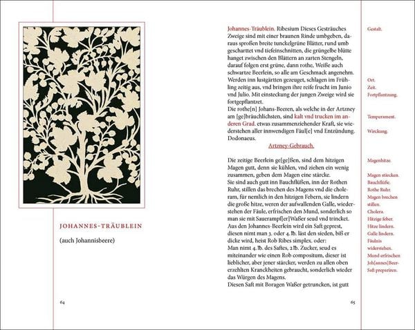 Produktbild: Das Kr&auml;uterbuch des Johann Christoph Ende