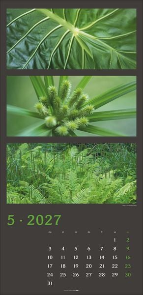 Produktbild: Die Farben der Natur Kalender 2027