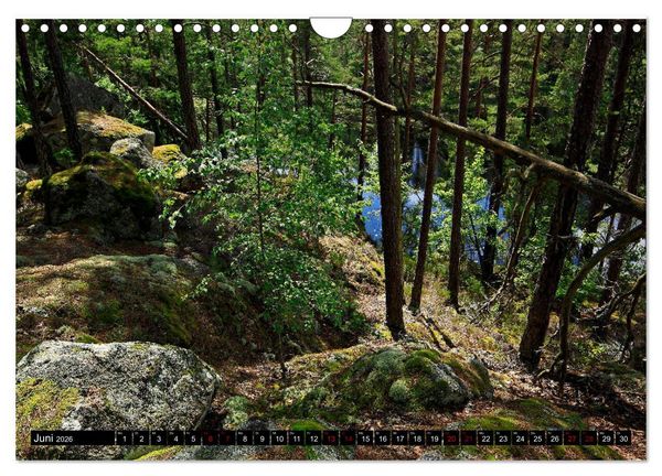 Produktbild: Tiveden, der NatURWALD in Schweden (Wandkalender 2026 DIN A4 quer), CALVENDO Monatskalender