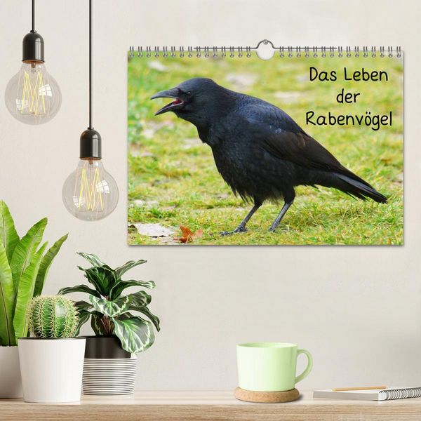 Produktbild: Das Leben der Rabenv&ouml;gel (Wandkalender 2026 DIN A4 quer), CALVENDO Monatskalender