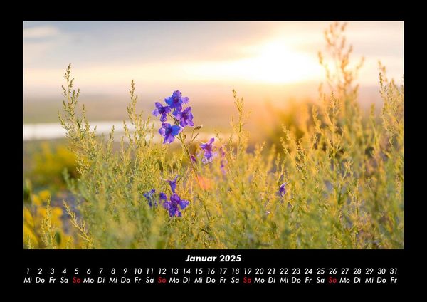 Produktbild: Blumenkalender 2025 Fotokalender DIN A3