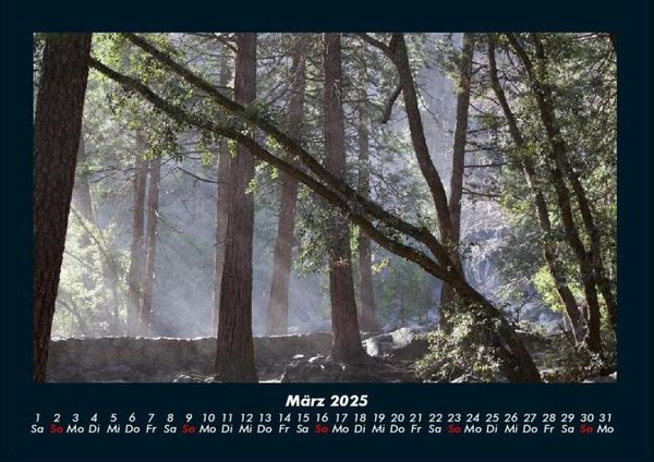 Produktbild: Bilder der Natur 2025 Fotokalender DIN A4