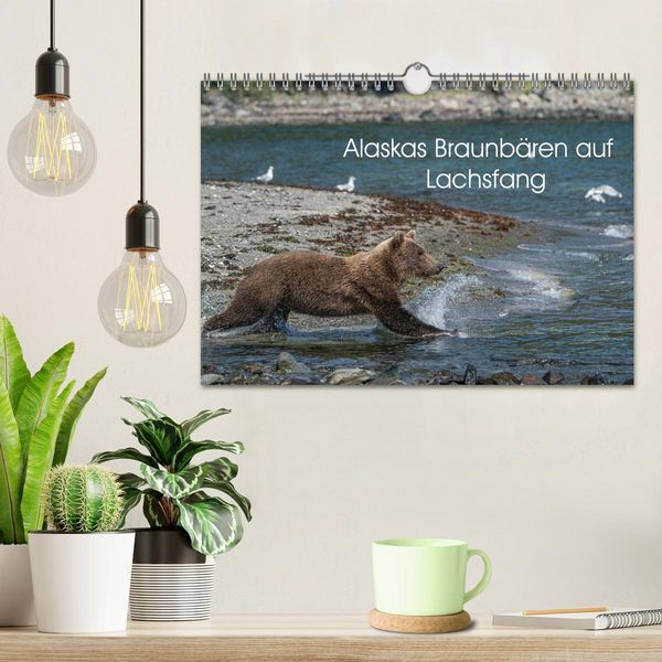 Produktbild: Grizzlyb&auml;ren im Katmai Nationalpark Alaska (Wandkalender 2026 DIN A4 quer), CALVENDO Monatskalender