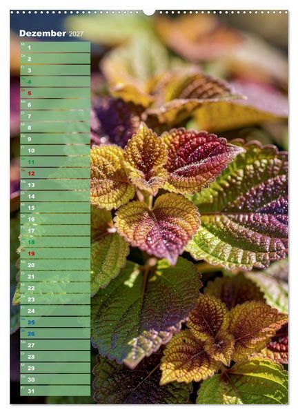 Produktbild: Bunte Farben der Natur (Wandkalender 2027 DIN A2 hoch), CALVENDO Monatskalender