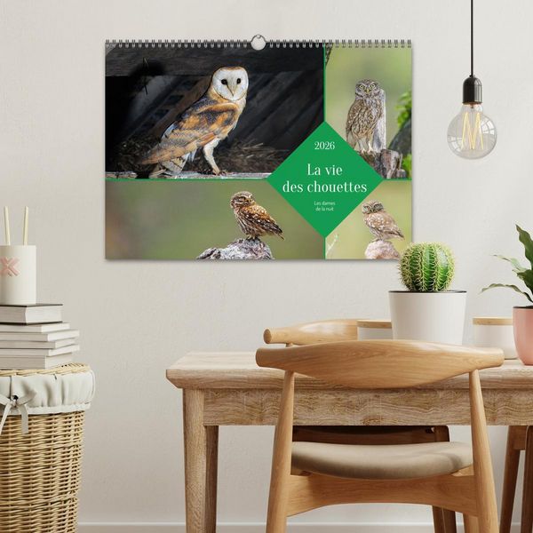 Produktbild: La vie des chouettes, les dames de la nuit (Calendrier mural 2026 DIN A3 vertical), CALVENDO calendrier mensuel