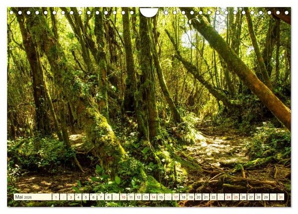 Produktbild: Unterwegs in Malaysia (Wandkalender 2026 DIN A4 quer), CALVENDO Monatskalender