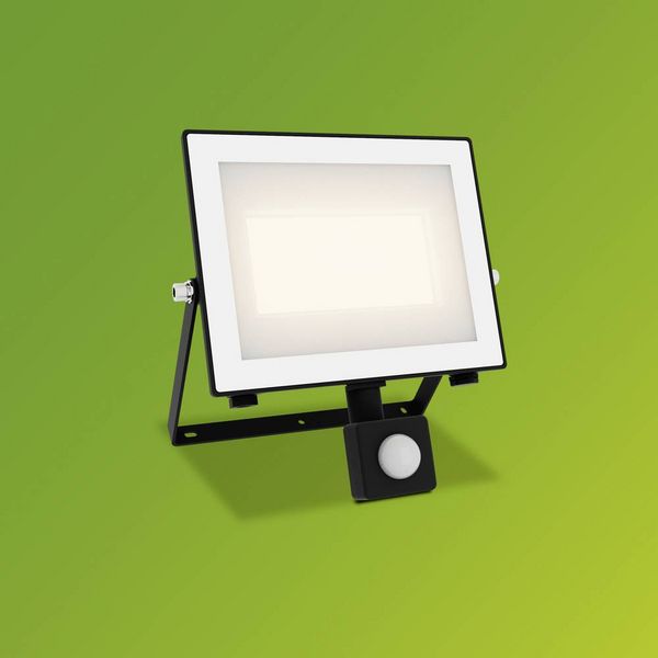 Produktbild: Philips LED Lois 929004642601 LED-Au&szlig;enstrahler mit Bewegungsmelder 50 W Leuchtfarben: Warmwei&szlig;