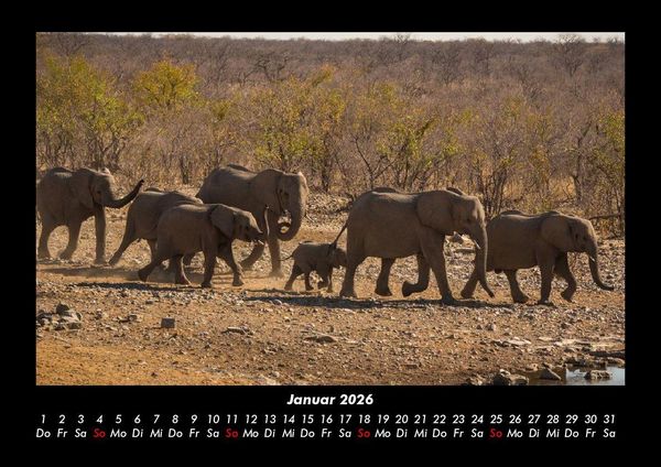 Produktbild: Der Elefantenkalender 2026 Fotokalender DIN A3