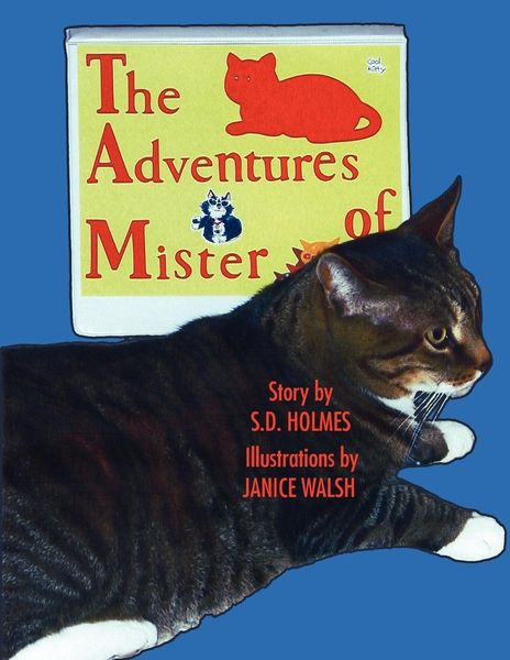 Produktbild: The Adventures of Mister