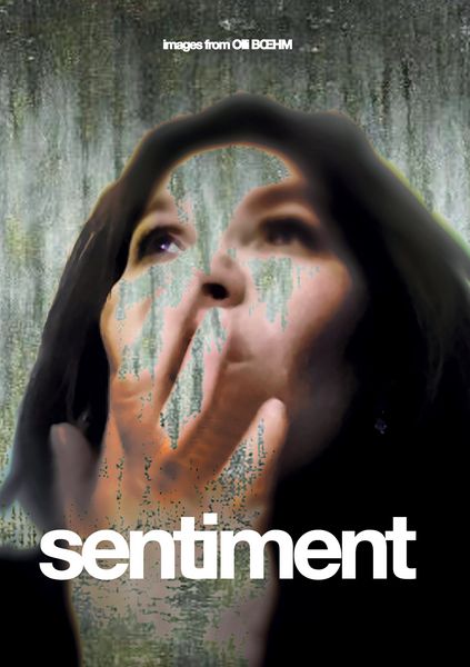 Produktbild: sentiment