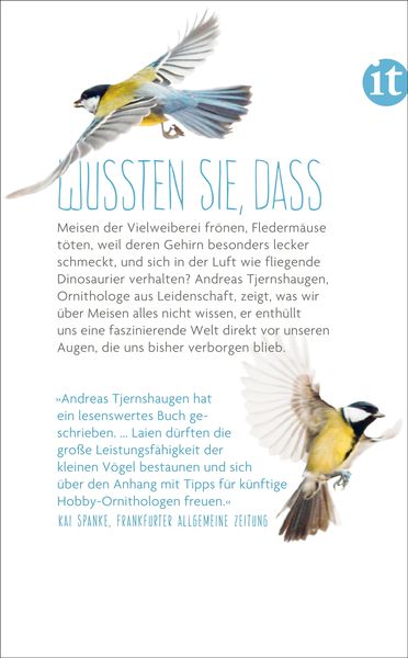 Das verborgene Leben der Meisen
