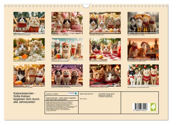 Produktbild: Katzenkalender - S&uuml;&szlig;e Katzen begleiten dich durch alle Jahreszeiten (Wandkalender 2026 DIN A3 quer), CALVENDO Monatskalender