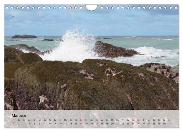 Produktbild: Bretagne - Wildnis Finist&egrave;re (Wandkalender 2026 DIN A4 quer), CALVENDO Monatskalender