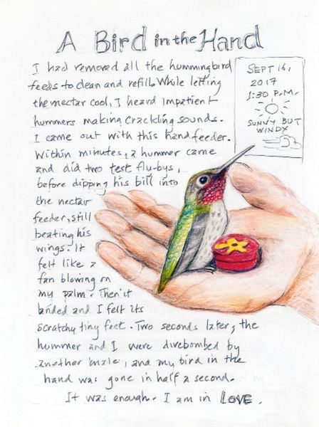Produktbild: The Backyard Bird Chronicles