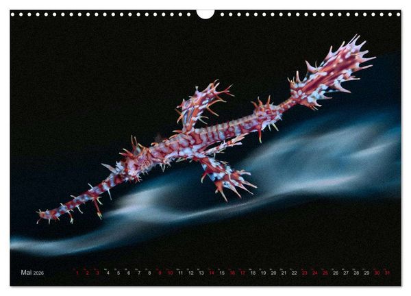 Produktbild: Artwork Unterwasser - Erlebnis Tauchen (Wandkalender 2026 DIN A3 quer), CALVENDO Monatskalender