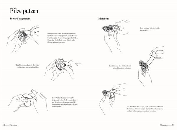 Produktbild: Pilze. Das Kochbuch
